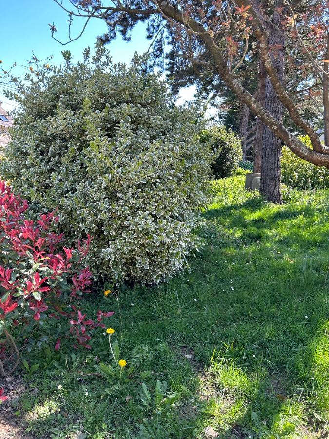Arc En Ciel Du Mont Bed & Breakfast Pontorson Exterior foto