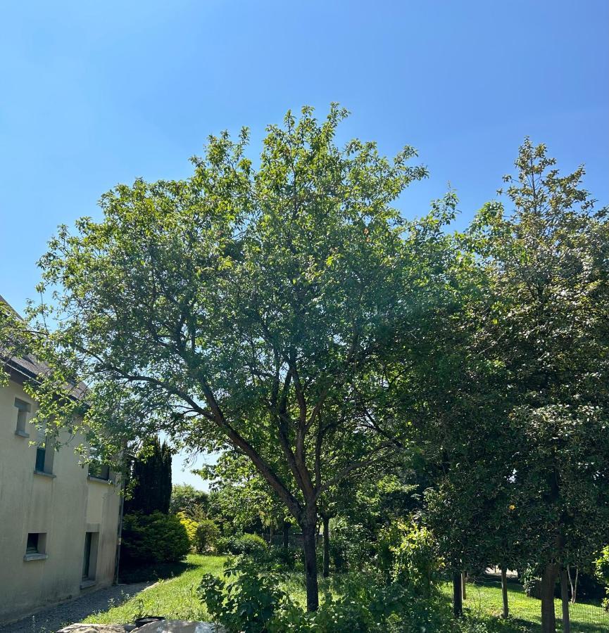 Arc En Ciel Du Mont Bed & Breakfast Pontorson Exterior foto