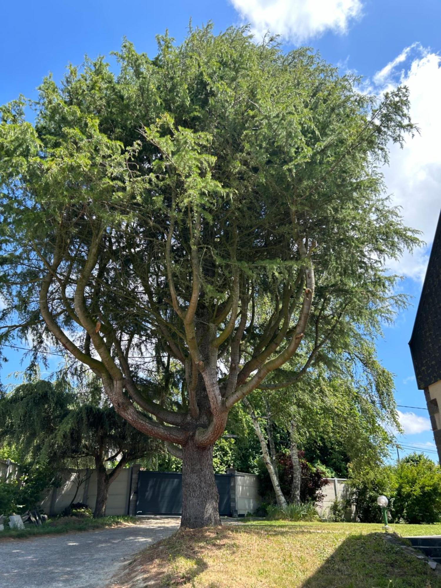 Arc En Ciel Du Mont Bed & Breakfast Pontorson Exterior foto